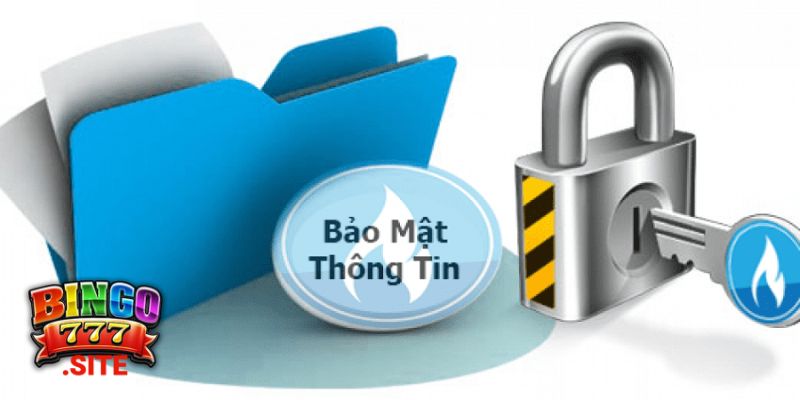 Thông tin khái quát về điều khoản dịch vụ Binggo777 cần nắm